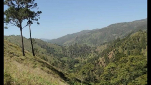 Declarar a Romero como reserva natural cerraría las puertas a San Juan para su desarrollo Económico